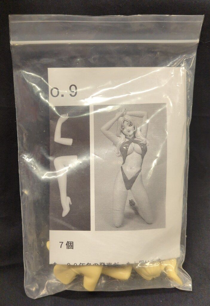 ムーンライター レジンキャストキット 夏娘 No 9