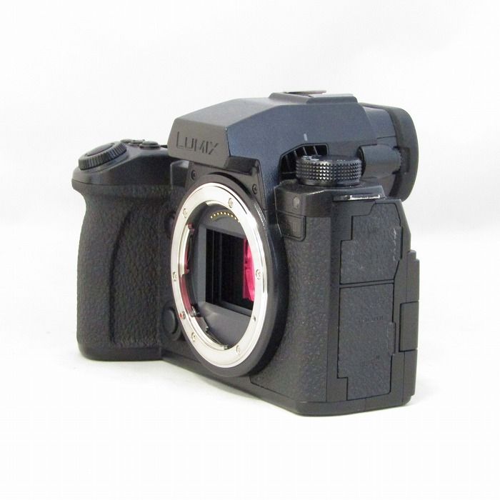 パナソニック Panasonic DC S 5 M 2 X