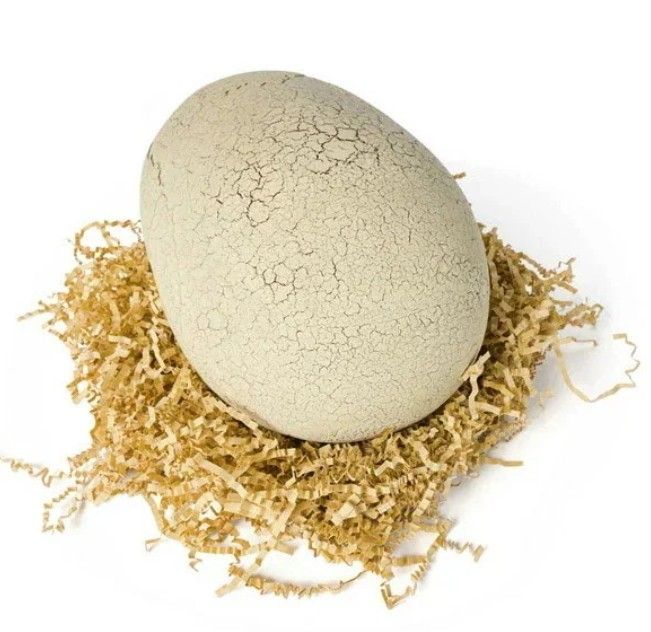 新品 未開封 未使用】うまれて！ウーモ ジュラシック・ワールド T