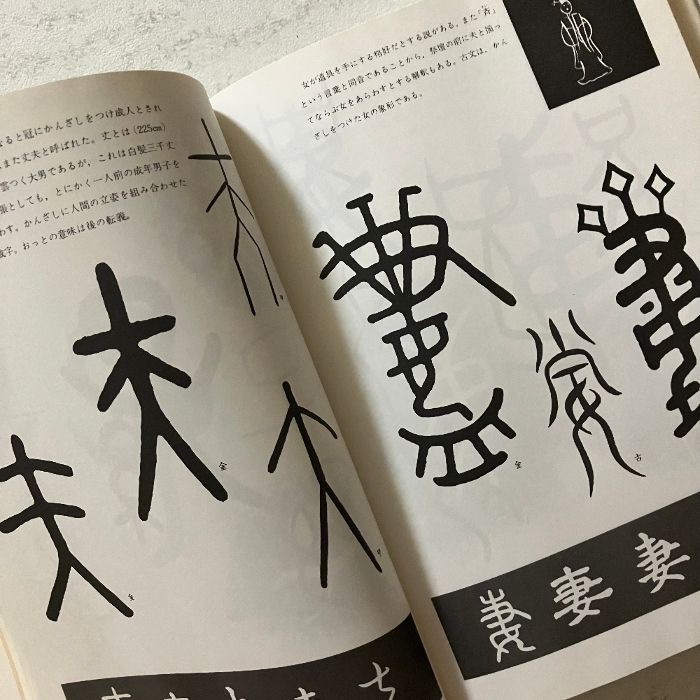 象形文字 日向数夫編 グラフィック社 - メルカリ