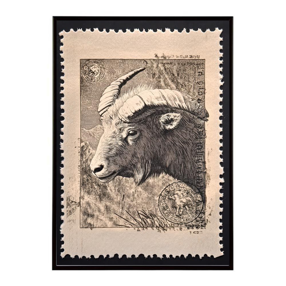 ペリオプティクス Perioptix 2.5倍 パノラミックルーペ アディダス