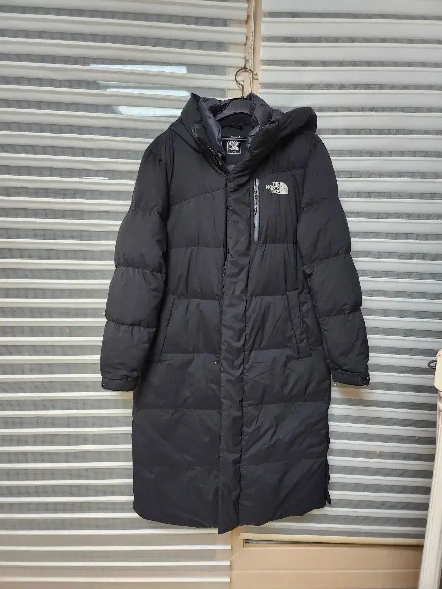 蝶の標本 ミヤマモンキチョウ3産地3ペアセット 規制前採集、飼育品