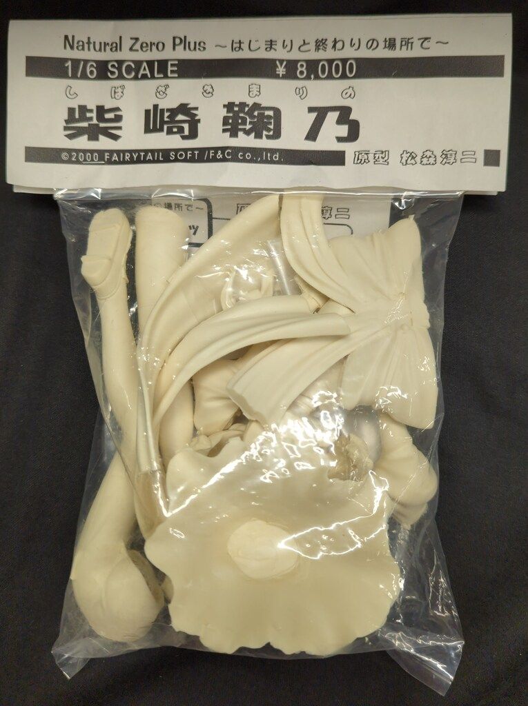 T s system 1 6スケールレジンキャストキット 原型 松森淳二 柴崎鞠乃