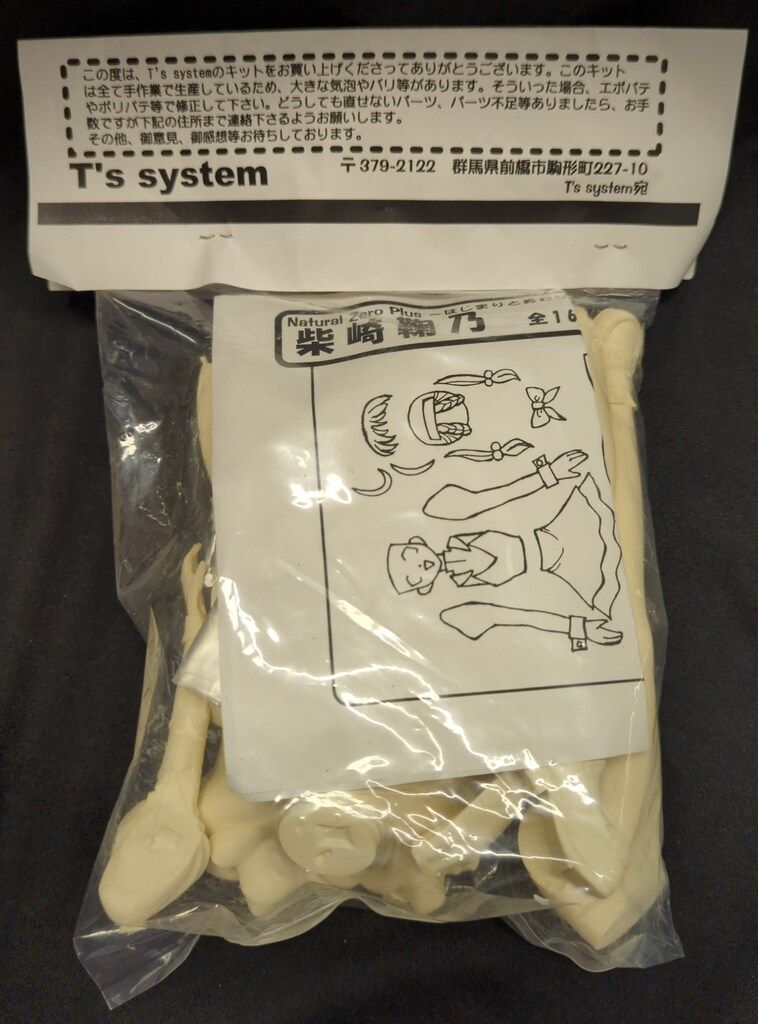 T s system 1|6スケールレジンキャストキット 原型 松森淳二 柴崎鞠乃