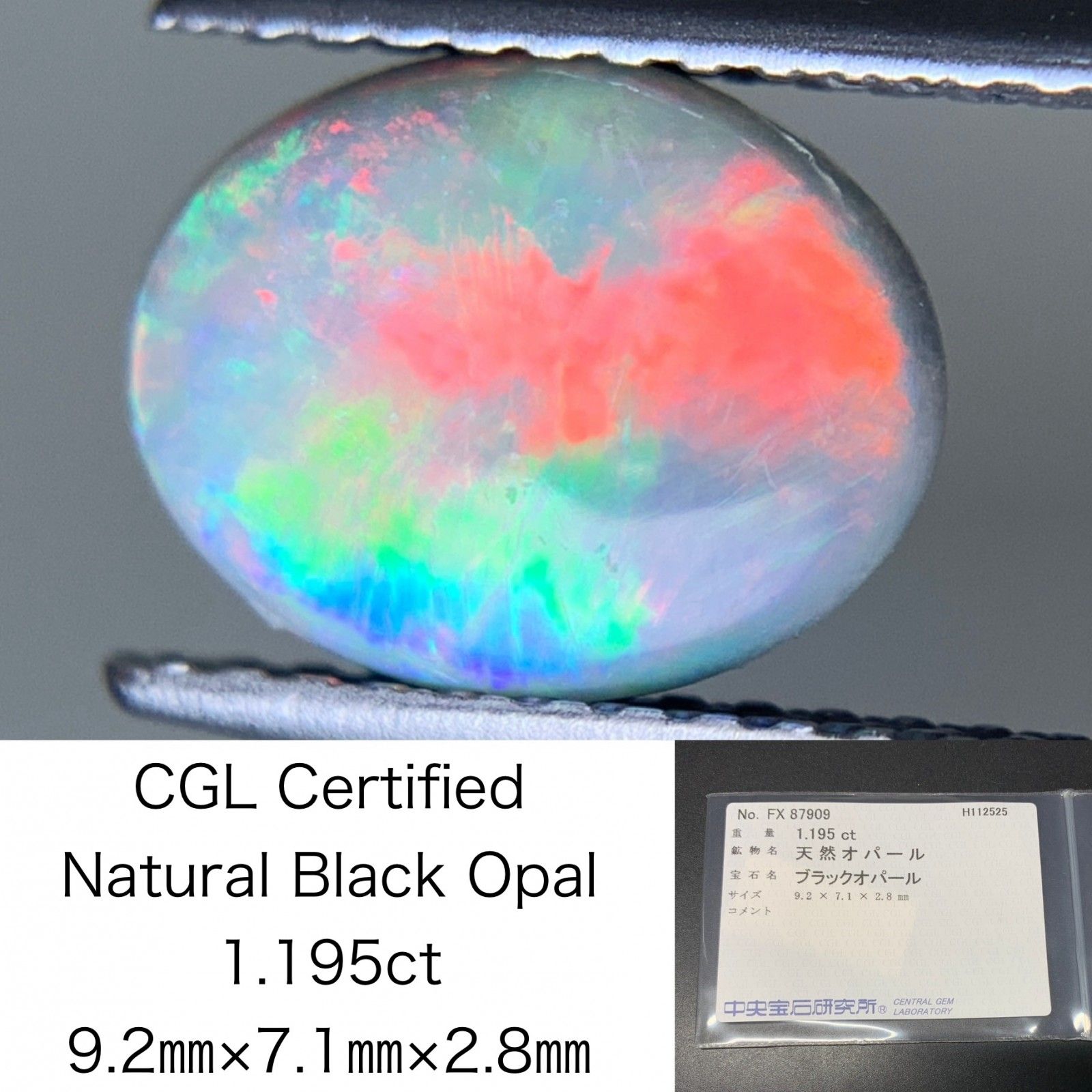 ブラックオパール 天然 1 195 ct 中央宝石ソーティング付き 9 2㎜ 7 1㎜ 2 8㎜ ルース 裸石 7454 Y