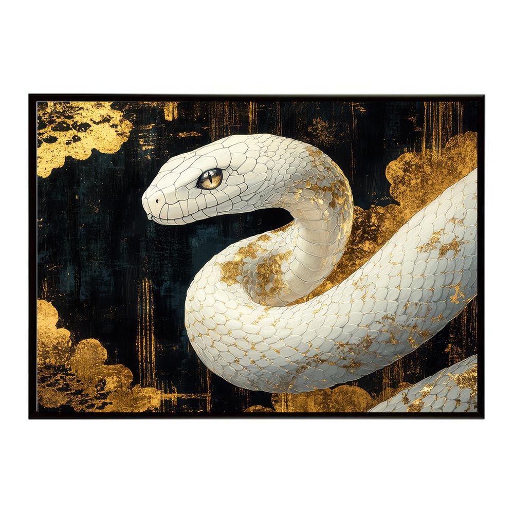 ヴィヴィアン・マイヤーを探して　初回限定版　Vivian Maier Finding Vivian Maier(輸入盤DVD)[新品] (ヴィヴィアン・マイヤーを