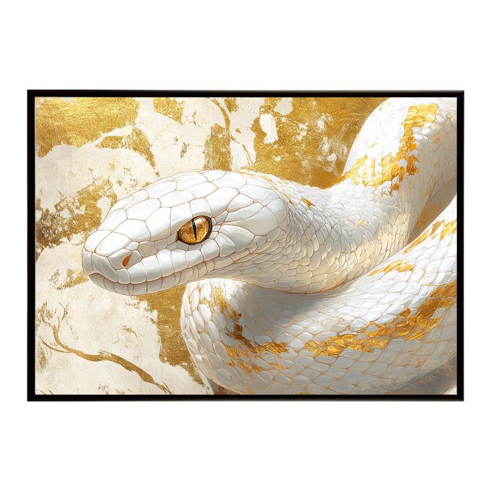 昭和名人芸大全～珍芸・奇芸・ビックリ芸 DVD-BOX〈6枚組〉