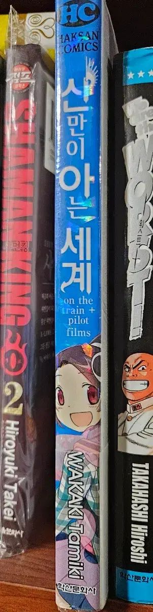 神のみぞ知る世界 1-26完 外伝