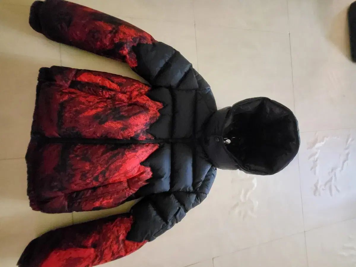 成人レディース