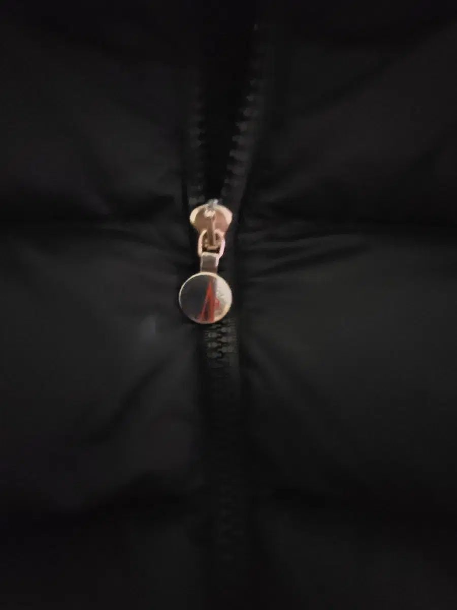 成人レディース