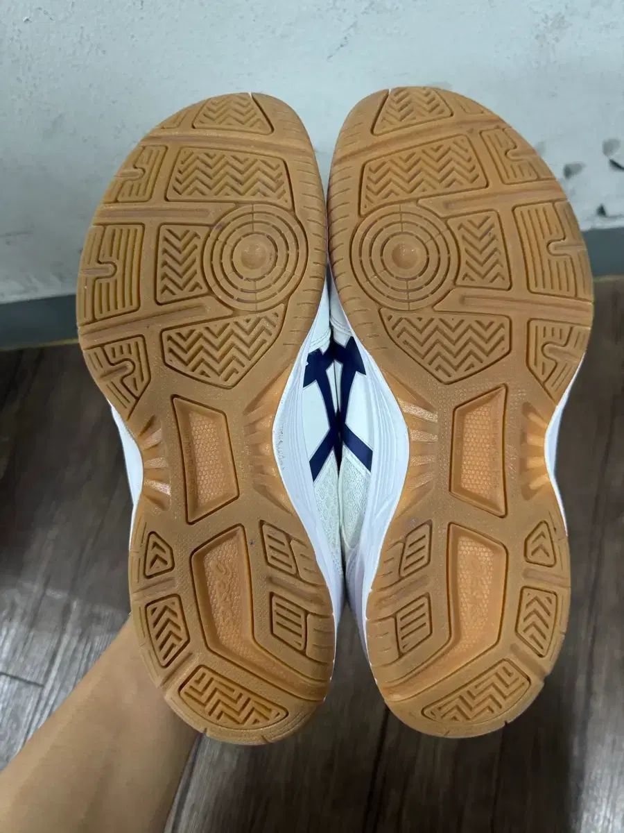 アシックス リーCF 体育大学受験 バドミントンシューズ インドアシューズ バレーボールシューズ