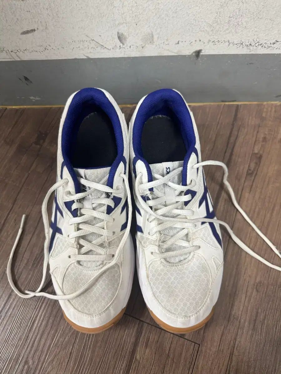 アシックス リーCF 体育大学受験 バドミントンシューズ インドアシューズ バレーボールシューズ