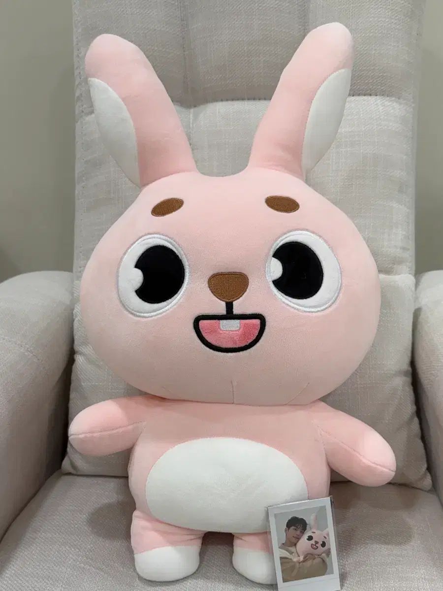 ジャイアント ウォンピル 24クラシックコンサート グッズ デニマルズ DAY 6 デイシックス トレカ〇