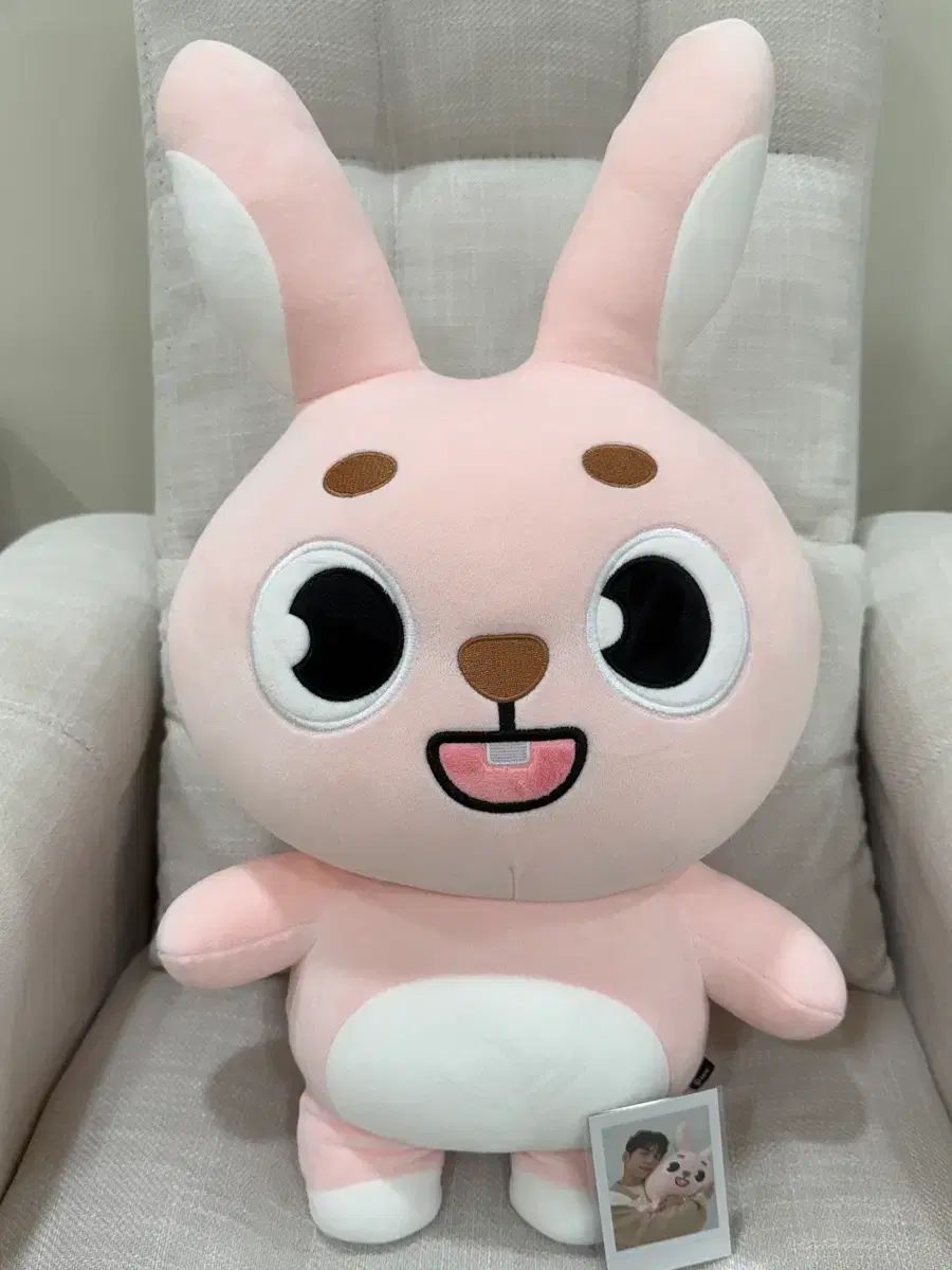 ジャイアント ウォンピル 24クラシックコンサート グッズ デニマルズ DAY 6 デイシックス トレカ〇