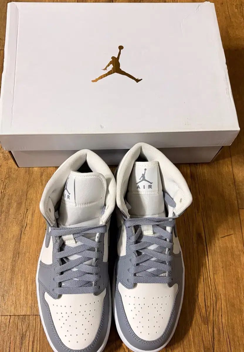 ナイキ エア ジョーダン 1 ミッド ステルス 255 mm