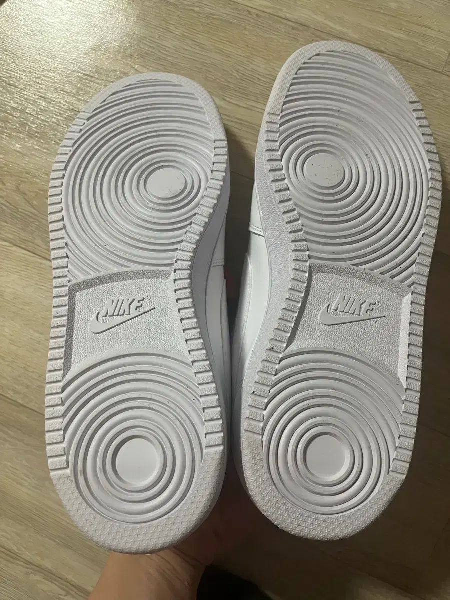 NIKE エバノン ロー 270