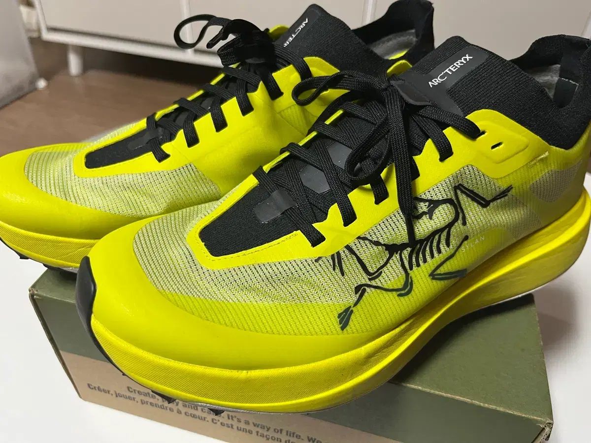 ARC TERYX アークテリクス サイレン プロ