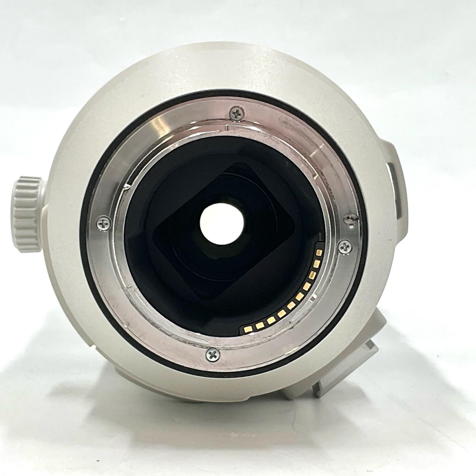 Sony FE 200 600 mm F 5 6 3 G OSS