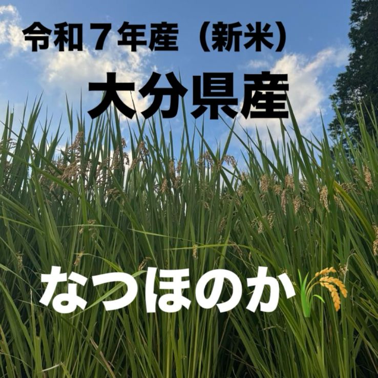 新米】大分県産 なつほのか 30kg 玄米 令和7年産 - メルカリ