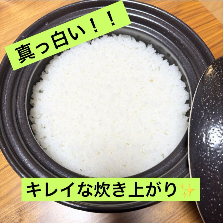 令和7年 新米 大分県産なつほのか 白米23㎏キロ 【公式通販】