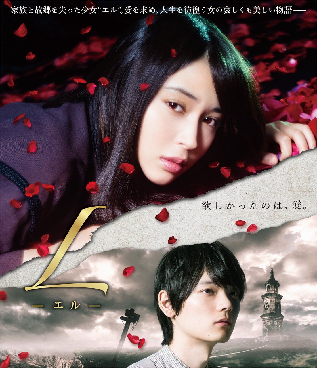 Lーエルー Blu ray Disc 組 品