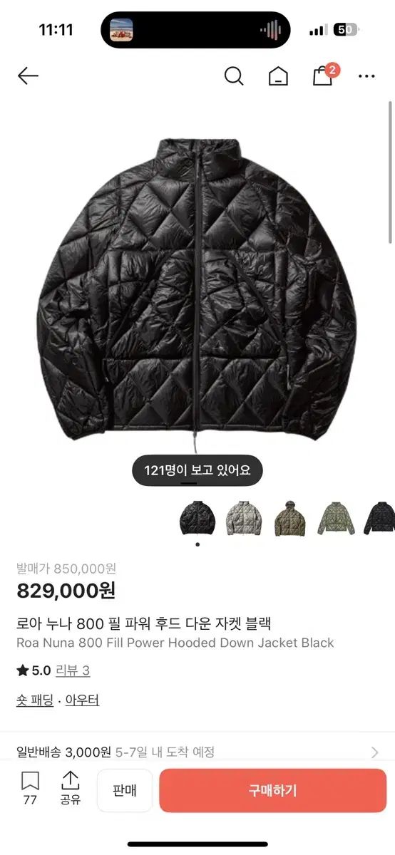 ROA 姉さん fill ロア 800 Lサイズ