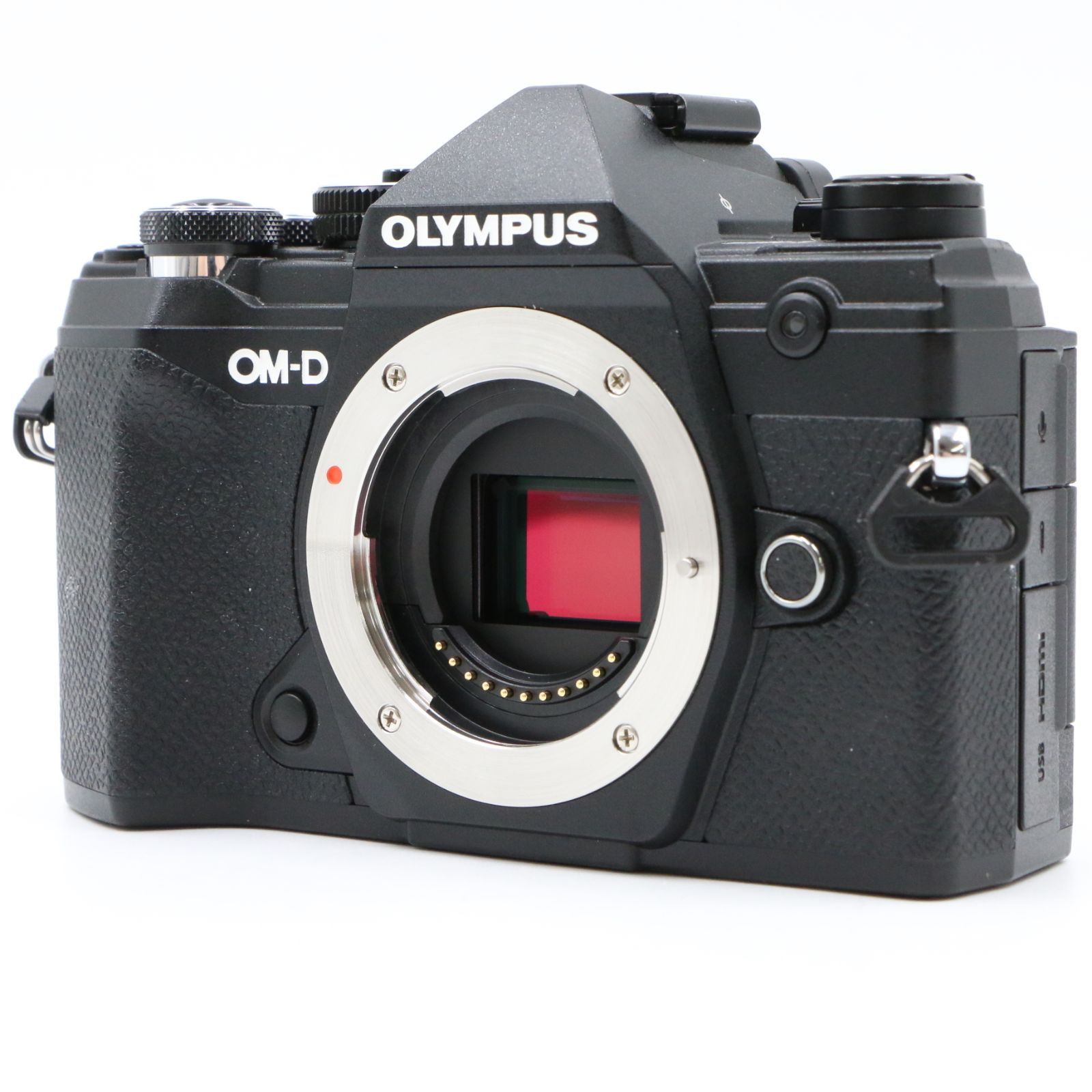 上品 OLYMPUS オリンパス OM D E M 5 Mark III ショット数2 !