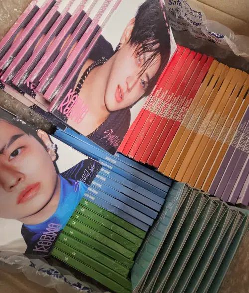 Stray Kids ストレイキッズ スキズ SKZ Karma アコーディオン 8 ベルセット