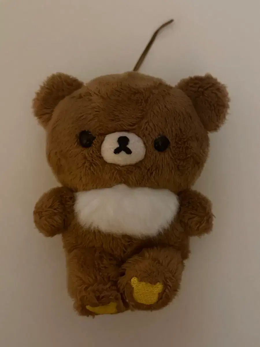 豊富な，人気 チャイロイコクマ ぬいぐるみ 出品 その他