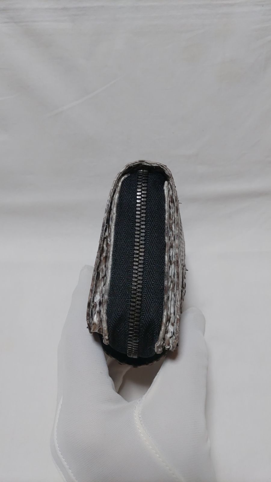 ダイヤモンド•パイソン