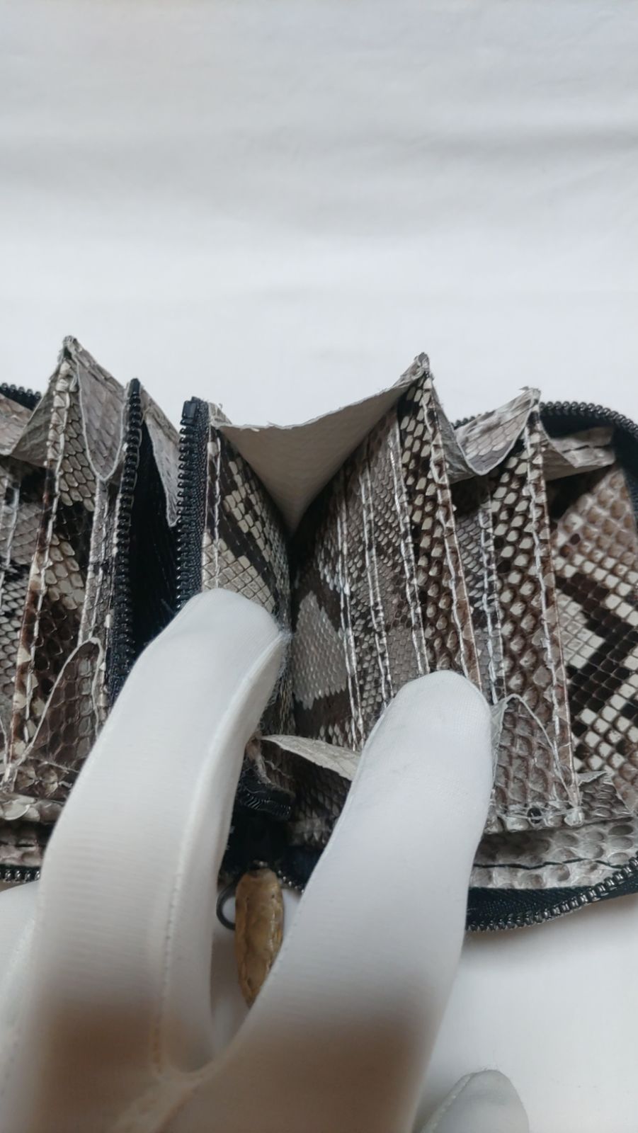 ダイヤモンド•パイソン ラウンドタイプ