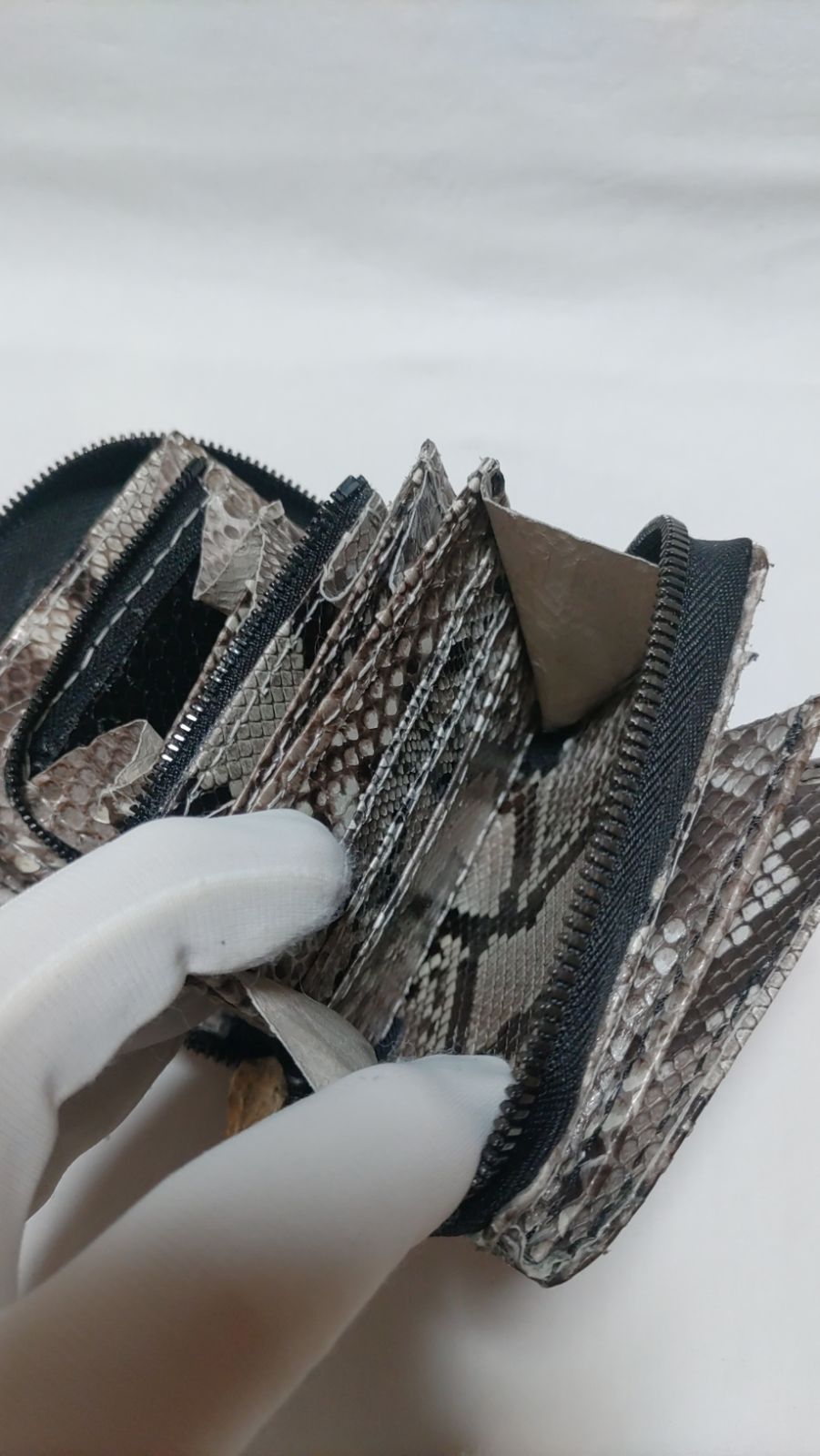 ダイヤモンド•パイソン