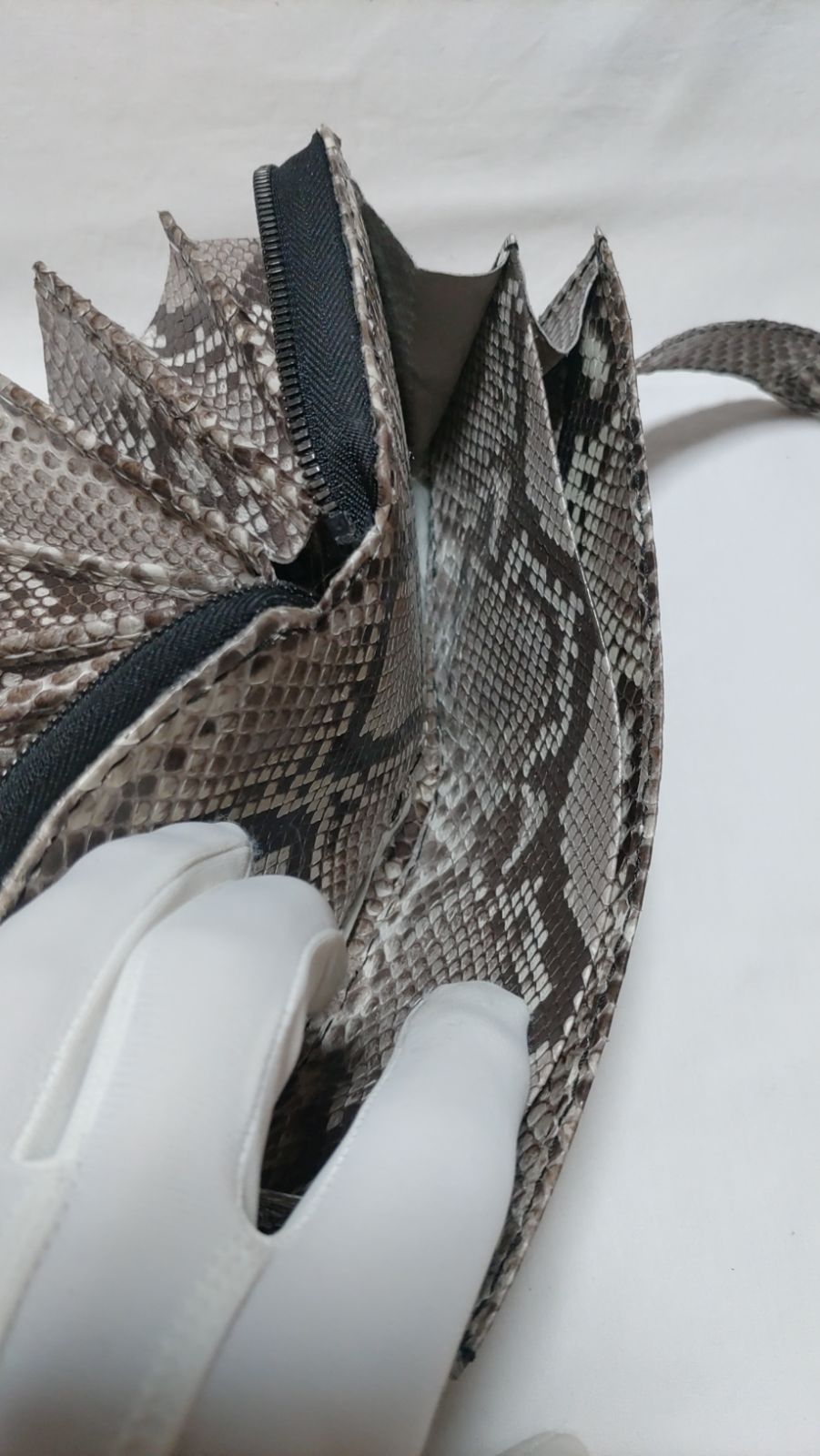 ダイヤモンド•パイソン