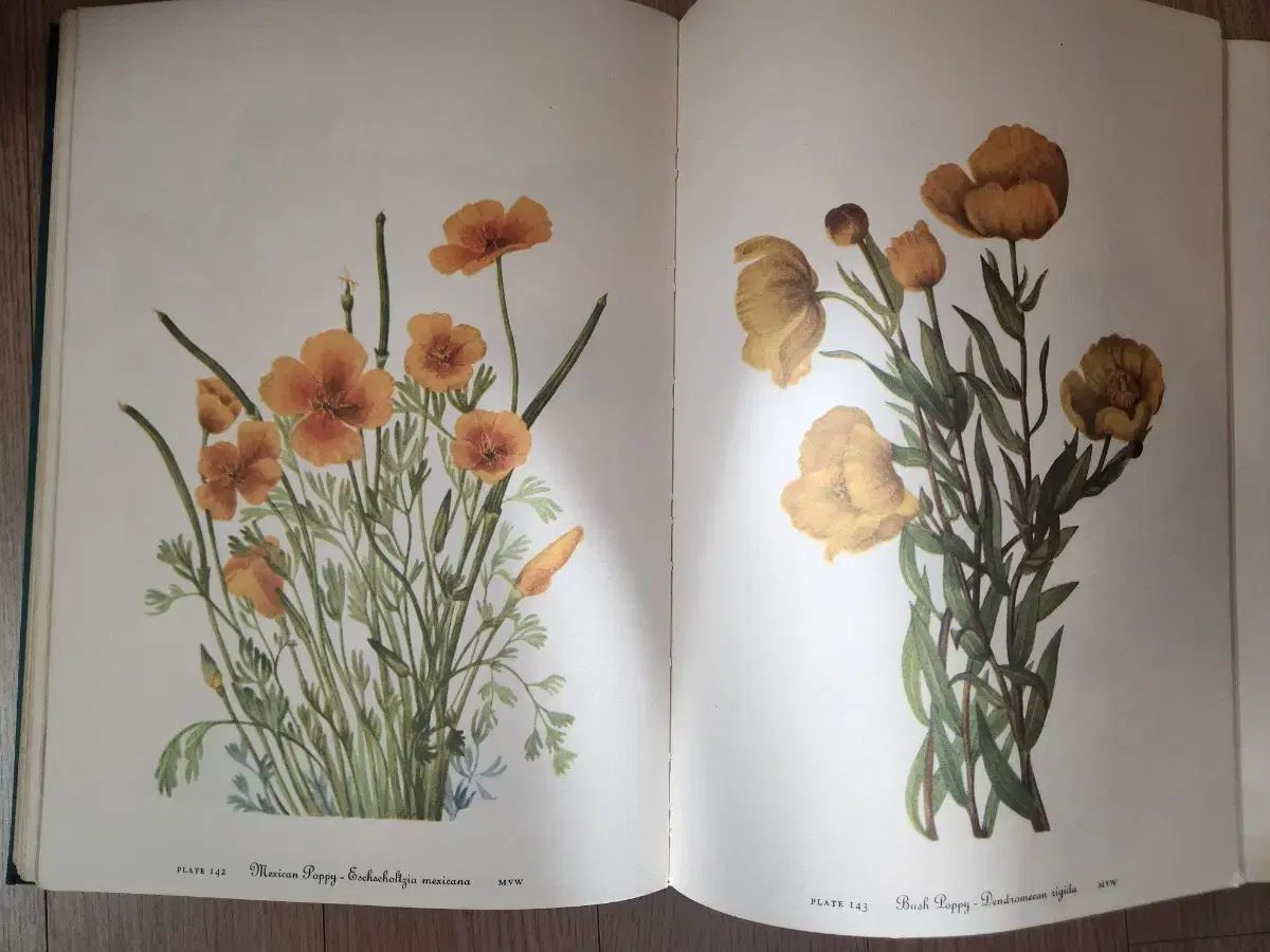 ヴィンテージ植物図鑑ボタニカルBOOK