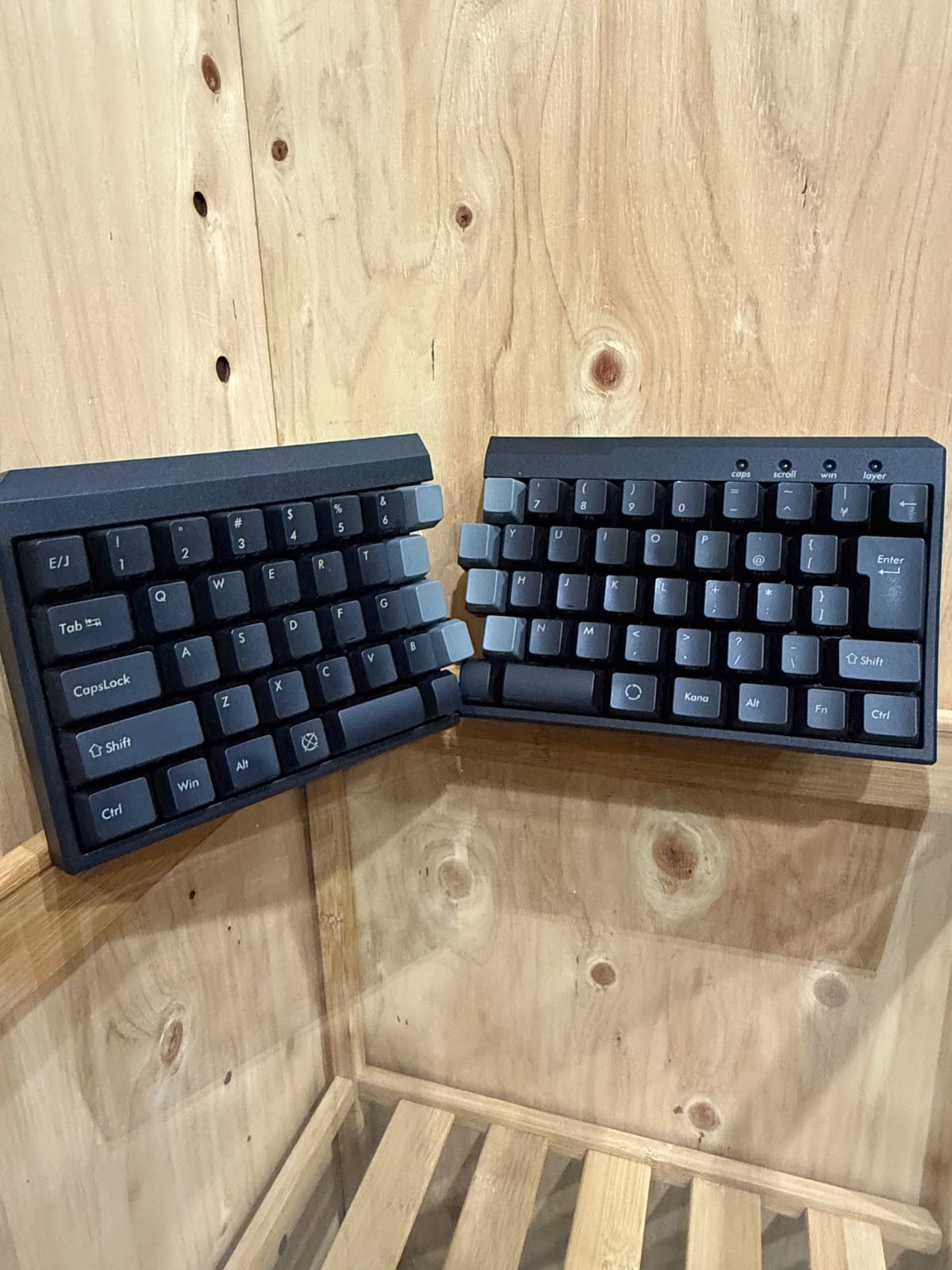 直筆サイン カシオペア/the way of CASIOPEA〈2枚組〉 DVD