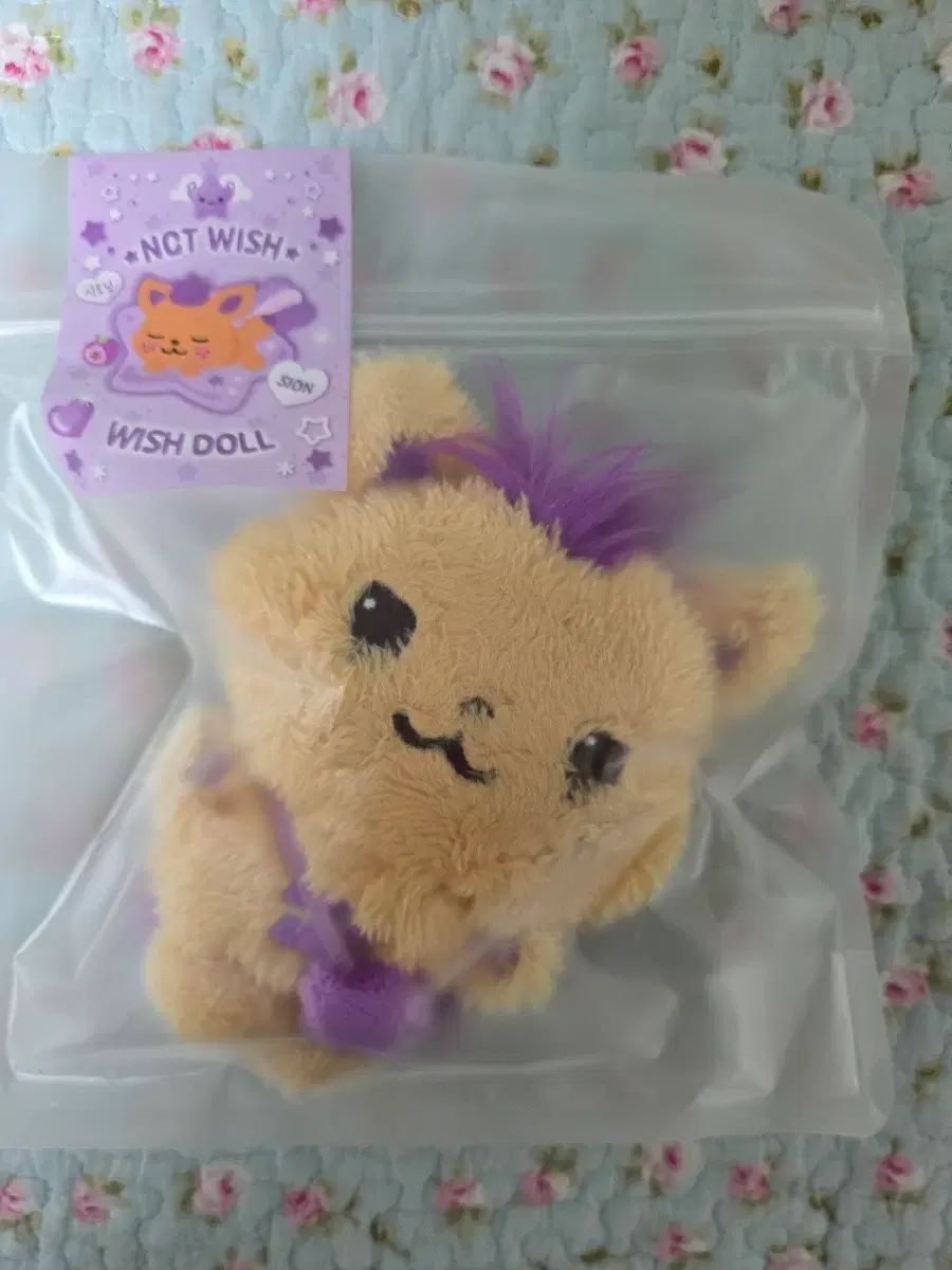 NCT(エヌシーティー) WIND AND WISH ウィッシュドール シオン