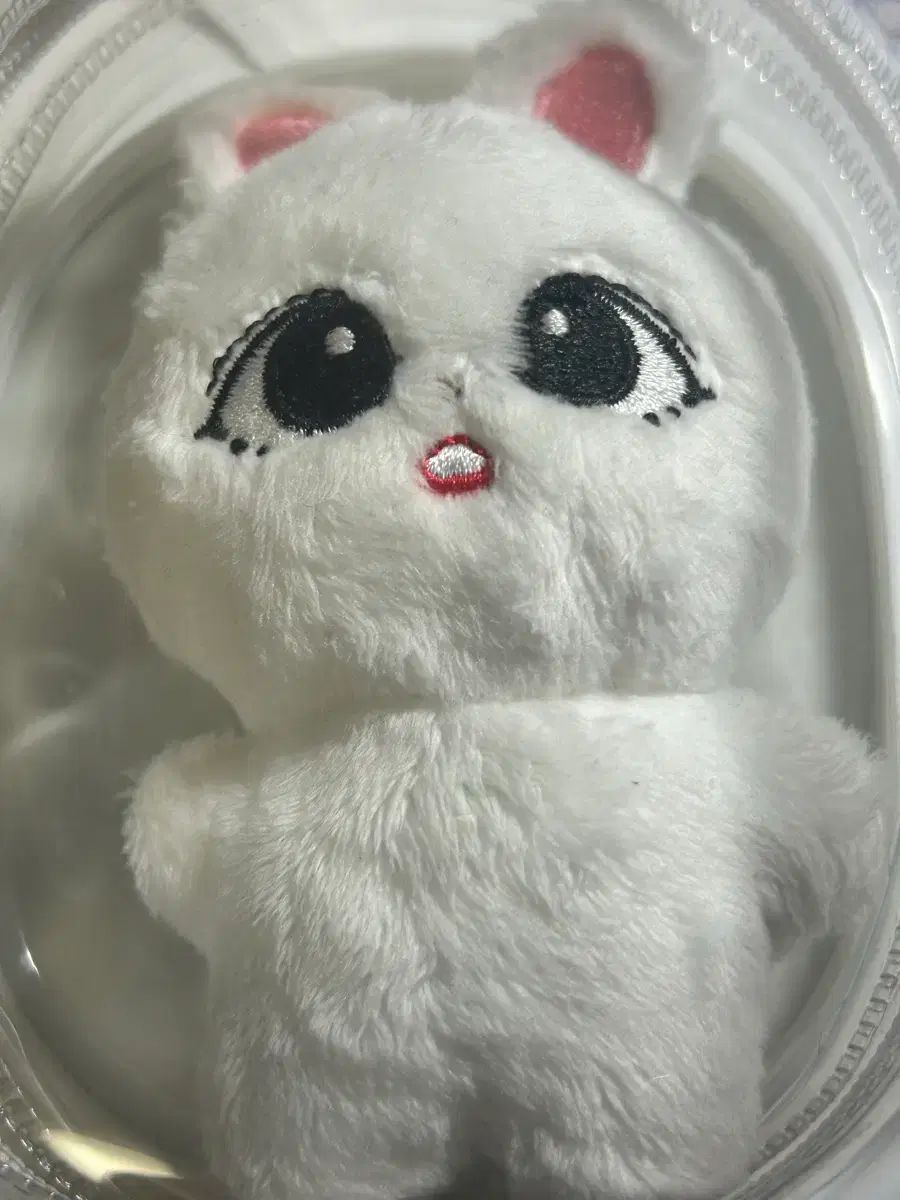 エスクプス(S.COUPS・スンチョル) ぬいぐるみ クプス끼 - メルカリ