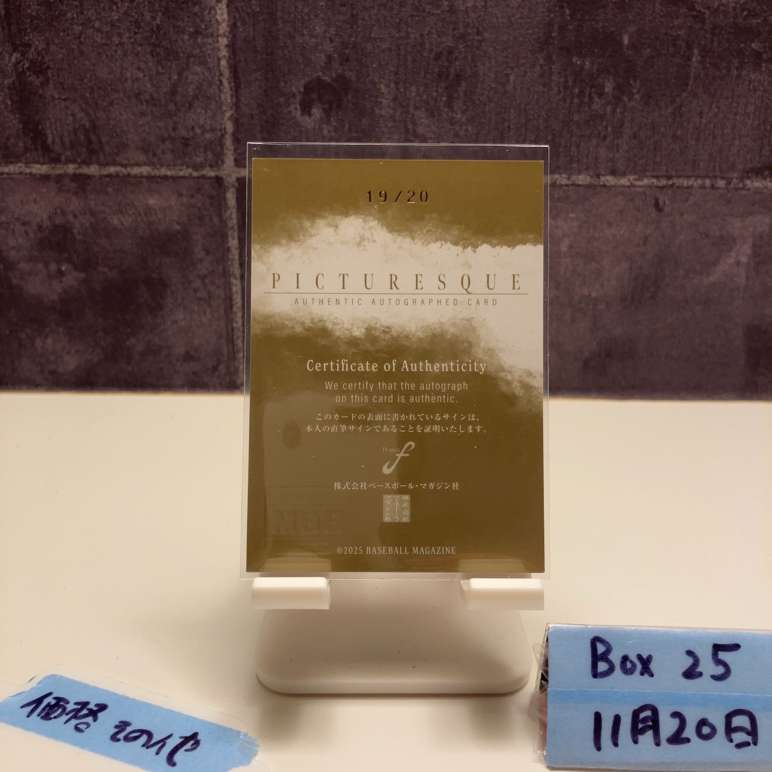 2025 BBM Fusion 中﨑翔太 19 20 直筆サインカード 広島東洋カープ PICTURESQUE カード