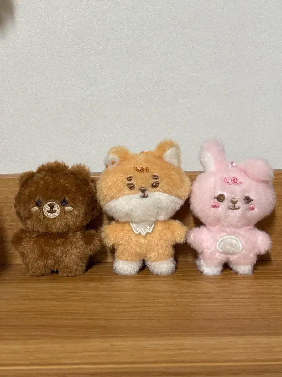 DAY 6 デイシックス 쁘쁘멀 방케필 まとめ