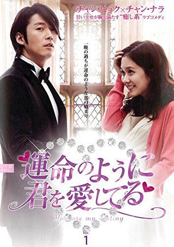 運命のように君を愛してる レンタル落ち 全10巻セット マーケットプレイスDVDセット商品