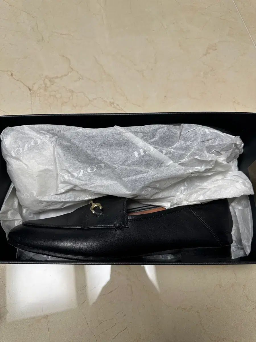 コーチ ヘイリー