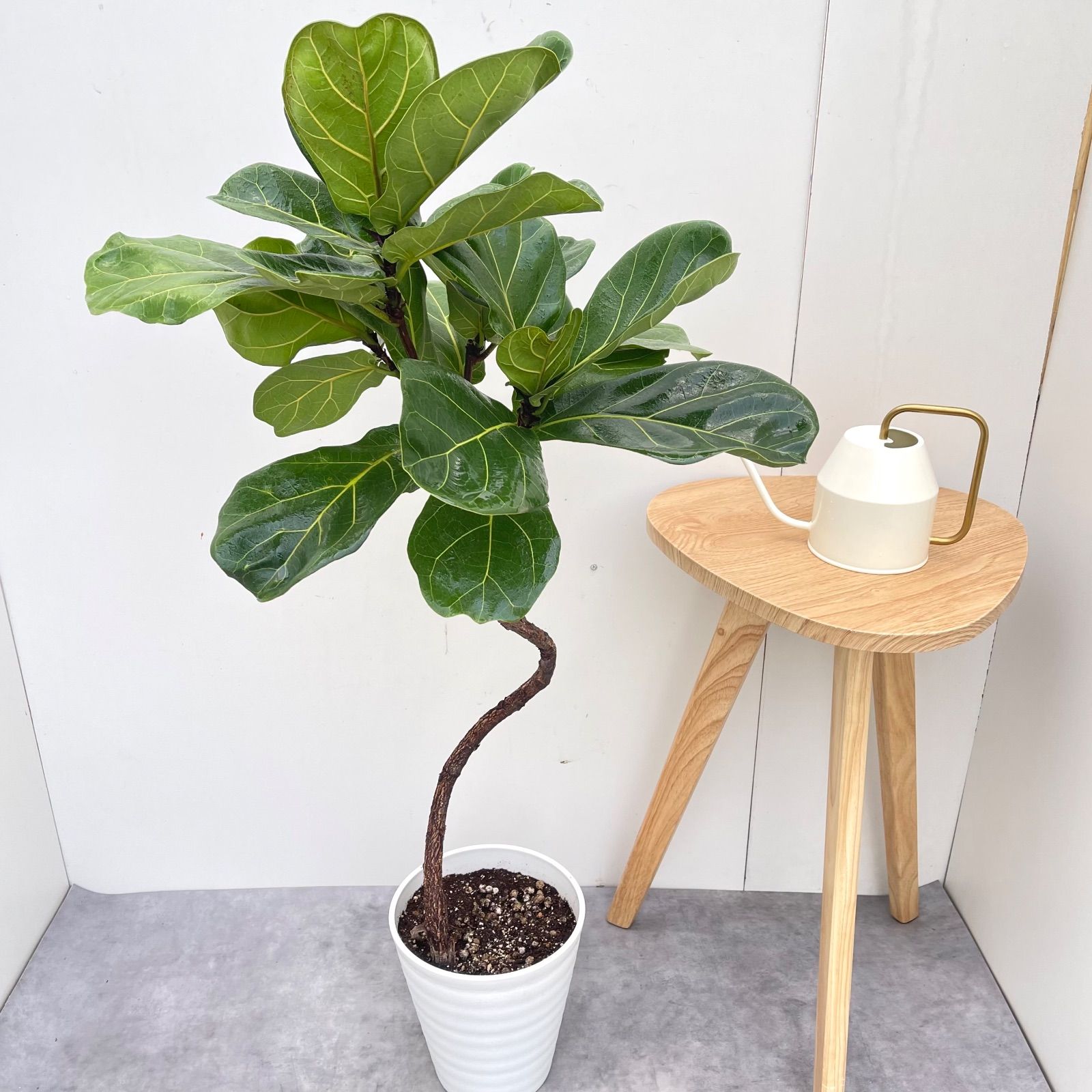 ディスカウント ZIPPO 『Reservoir Dogs レザボア・ドッグス』1992年8