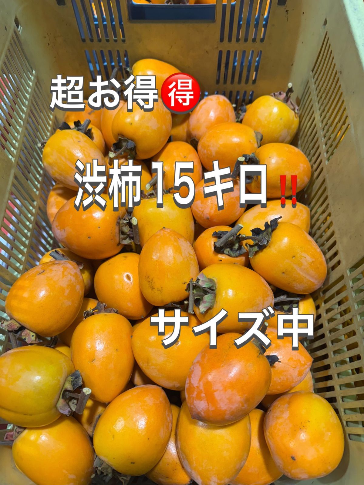 📦 本日12月9日入荷‼️ 【超お得‼️ 愛媛県産 渋柿15kg】 - メルカリ