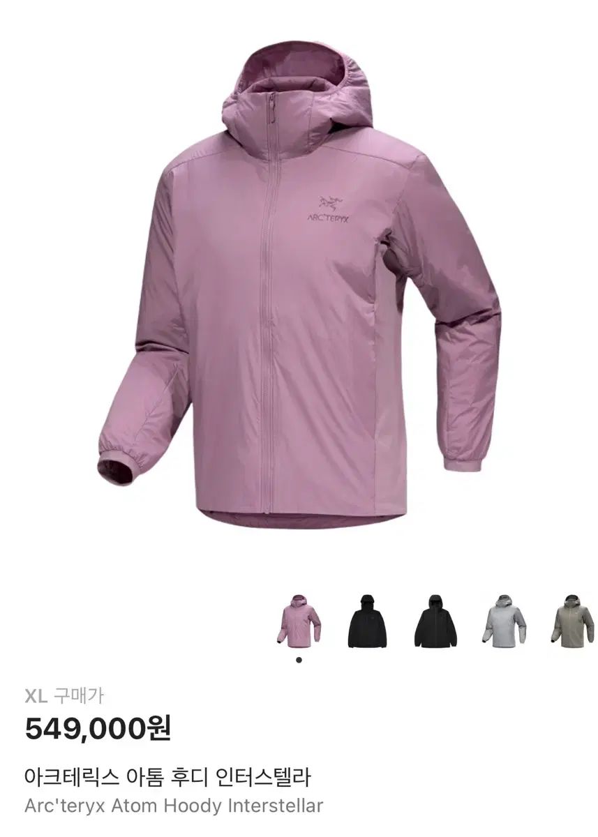 ARC TERYX Atom HOODIE Interstellar XL