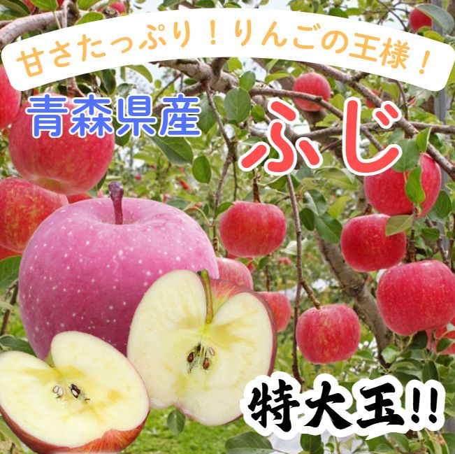 金工師 田中秀明 南鐐 片木目 四方盆 銀製 共箱