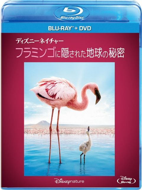 ディズニーネイチャー|フラミンゴに隠された地球の秘密 ブルーレイ DVDセット Blu-ray