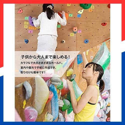 数量限定】ホールド 子供 ボルダリング キッズ クライミングウォール