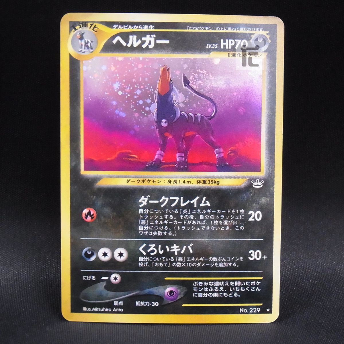 ヘルガー LV.35 / TA23978 - メルカリ
