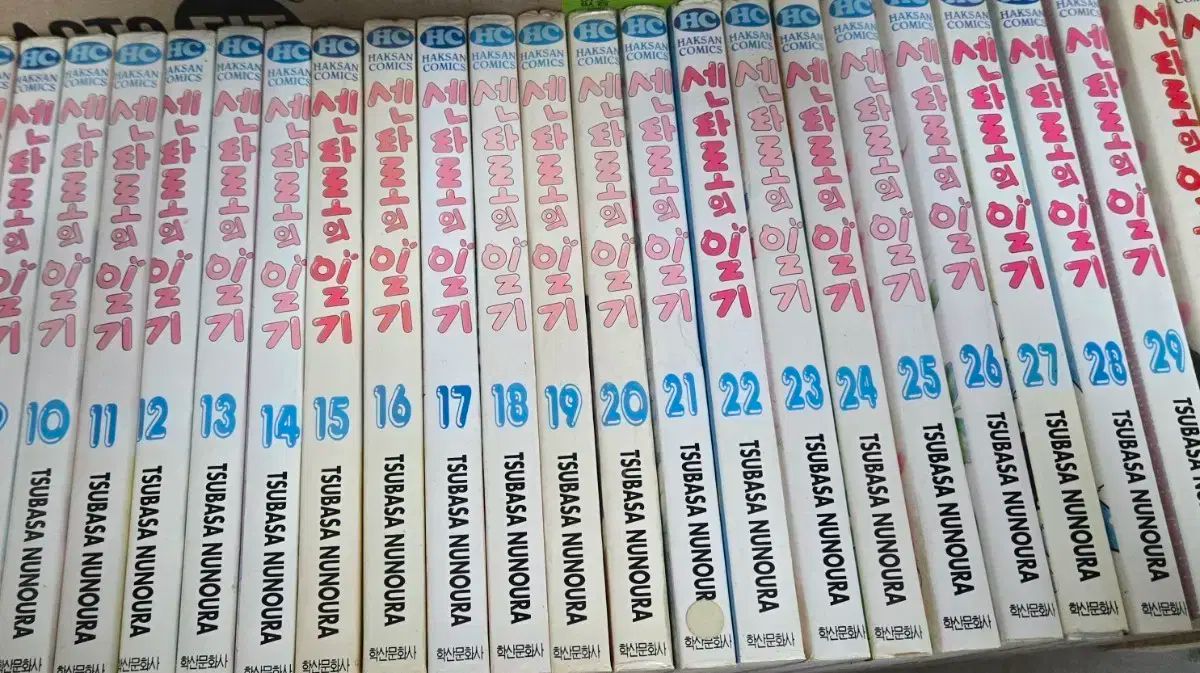 中古本)センタロの日記 1-29