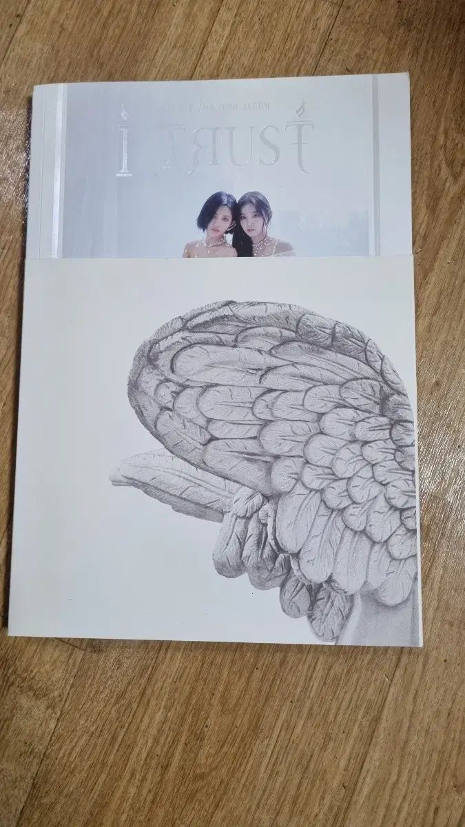 B280960]京塗師 堀井胡春 網千鳥文蒔絵 中棗 共箱◇茶道具/茶器/茶入